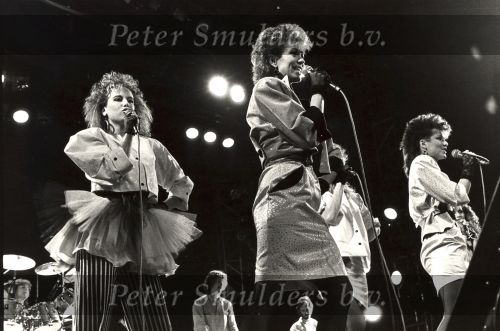Dolly Dots
Foto Peter Smulders BV