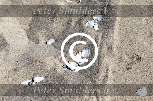 Sint maarten 12 november 2011
Het strand Baie Rouge waar Jan Smit en Liza getrouwd zijn.
Peter Smulders bv