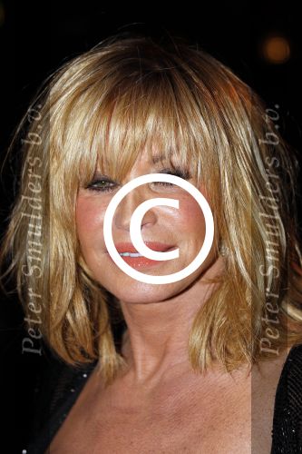 Rotterdam 1 november 2011
De gasten voor het concert van Lee Towers in ahoy. Connie Breukhoven
Peter Smulders bv