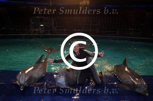 Harderwijk 30 november 2011
Frans Bauer aan het trainen voor show met dolfijnen in het dolfinarium. Zijn vader en zoon Christiaan zijn erbij.
Peter Smulders bv