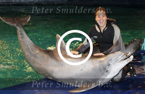 Harderwijk 30 november 2011
Frans Bauer aan het trainen voor show met dolfijnen in het dolfinarium. Zijn vader en zoon Christiaan zijn erbij.
Peter Smulders bv