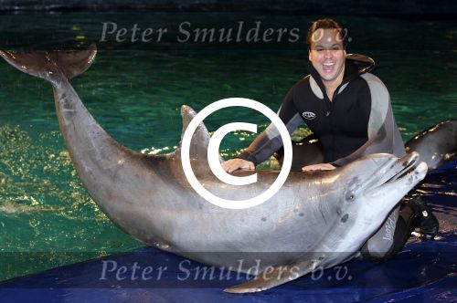 Harderwijk 30 november 2011
Frans Bauer aan het trainen voor show met dolfijnen in het dolfinarium. Zijn vader en zoon Christiaan zijn erbij.
Peter Smulders bv