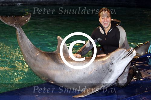 Harderwijk 30 november 2011
Frans Bauer aan het trainen voor show met dolfijnen in het dolfinarium. Zijn vader en zoon Christiaan zijn erbij.
Peter Smulders bv