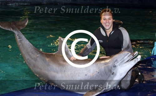 Harderwijk 30 november 2011
Frans Bauer aan het trainen voor show met dolfijnen in het dolfinarium. Zijn vader en zoon Christiaan zijn erbij.
Peter Smulders bv