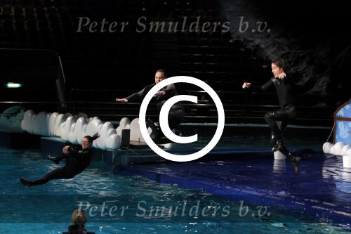 Harderwijk 30 november 2011
Frans Bauer aan het trainen voor show met dolfijnen in het dolfinarium. Zijn vader en zoon Christiaan zijn erbij.
Peter Smulders bv