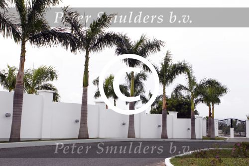 Sint Maarten 9 november 2011
Huis Waar Jan Smit en Lisa gaan trouwen op Sint Maarten. Het huis staat in de wijk Terres Basses.
Peter Smulders bv