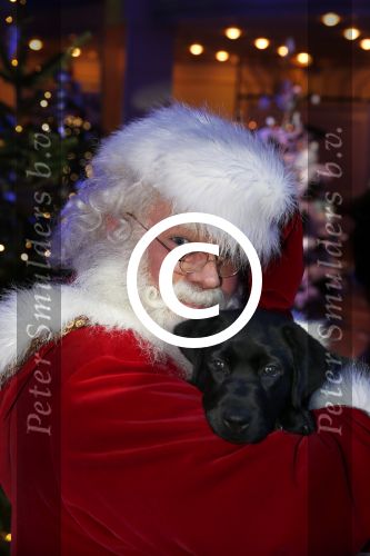 Hilversum 7 december 2012
Sky radio opbouwen Christmas tree (kerstboom) voor goede doelen. kerstman met een labrador
Peter Smulders bv