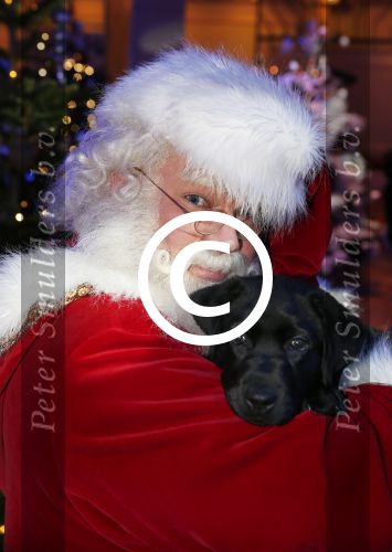 Hilversum 7 december 2012
Sky radio opbouwen Christmas tree (kerstboom) voor goede doelen. kerstman met een labrador
Peter Smulders bv