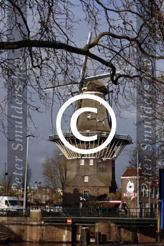 Amsterdam 27 november 2012
Een molen in amsterdam.
Peter Smulders bv