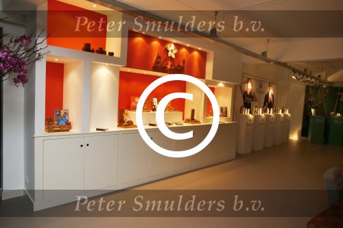 Amsterdam 23 november 2012
Opening nieuwe Buddha to Buddha pand in Amsterdam.
Peter Smulders bv