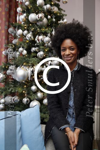 Amsterdam 29 november 2012
Gift suite in het the Grand hotel. Sylvana Simons
Peter Smulders bv