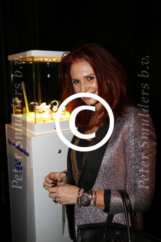 Amsterdam 28 november 2013
Presentatie technomarine in de harbour club. Leontine Borsato