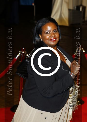 Scheveningen 30 november 2013
Voorstelling in het circustheater ivm met 200 jaar koninkrijk in Nederland. Marvelyne Wiels
