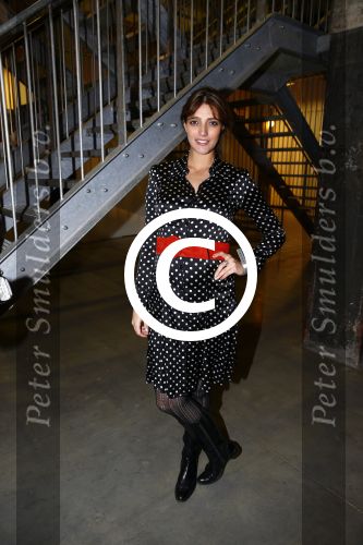 Amsterdam 13 november 2013
Bn ers kunnen een dag voordat het in de winkels van Hennes en Mauritz ligt de kollektie van isabel Marant kopen. Marvy Rieder zwanger