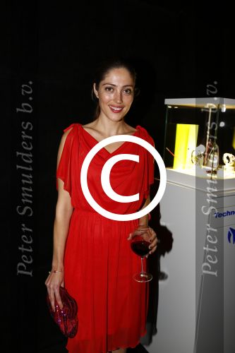 Amsterdam 28 november 2013
Presentatie technomarine in de harbour club.
Nadia Palesa