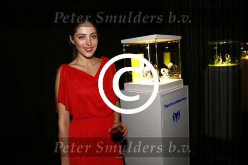 Amsterdam 28 november 2013
Presentatie technomarine in de harbour club.
Nadia Palesa