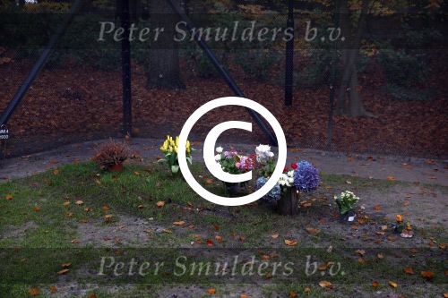 Lage Vuursche 18 november 2013
Graf prins Friso op begraafplaats lage Vuursche