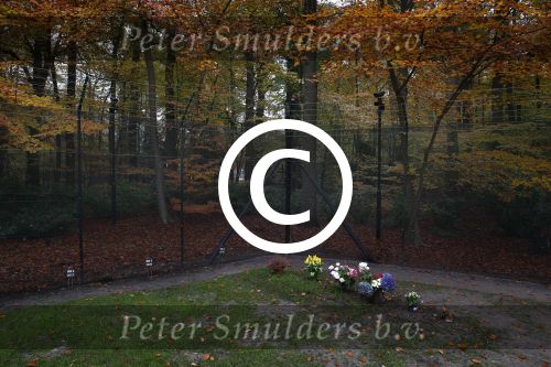 Lage Vuursche 18 november 2013
Graf prins Friso op begraafplaats lage Vuursche