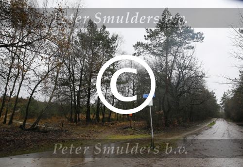 Radio Kootwijk 12 december 2014
Jan ten Hoop en zijn partner verhuizen naar hun nieuwe huis .