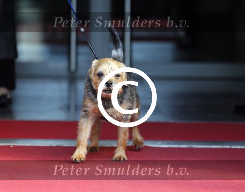 Amsterdam 10 december 2014
Uitreiking prins Claus prijzen in het paleis op de dam.
Aanwezig Koning Prins Willem Alexander Koningin Maxima Prinses Beatrix Prinses Mabel en Prins Constantijn.