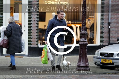 Amsterdam 18 november 2016
Albert Verlinde loopt met zijn hond in Amsterdam zuid