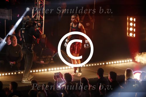 Oberhausen 10 december 2016
Rico Verhoeven wint zijn gevecht met Badr Hari tijdens de GLORY COLLISION in Oberhausen. Amel Dehby