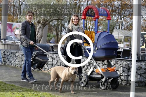 Den Haag 27 november 2016
Babyshower van Andre Hazes Jr. Natuurlijk zijn zijn vader Andre en moeder Monique aanwezig.