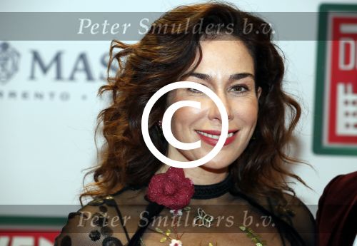 Amsterdam 14 november 2016
Premiere de zevende hemel in theater Carre. Halina Reijn