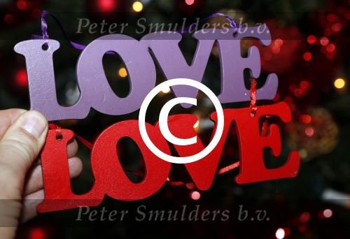 Amsterdam 7 december 2016
Sky radio Christmas tree event met oa Daphne en Emma Deckers Ronald de Boer Gers Pardoel Wilfred Genee Renate Verbaan en Bracha v Doesburgh. Fred v Leer en Manon Meijers zijn de jury. Marlayne Sahupala presenteert het geheel in het college hotel. Love logo