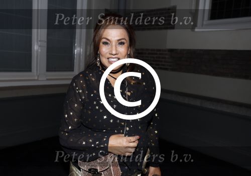 Amsterdam 29 november 2016
Afscheidsconcert Gordon in het concertgebouw.
Patty Brard