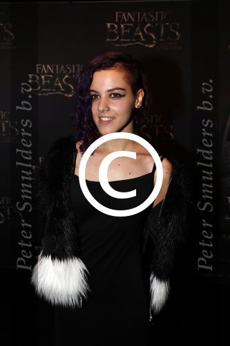 Amsterdam 15 november 2016
Premiere Fantastic beasts in Tuschinski.