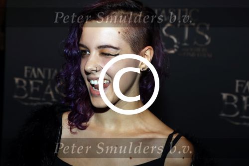 Amsterdam 15 november 2016
Premiere Fantastic beasts in Tuschinski.