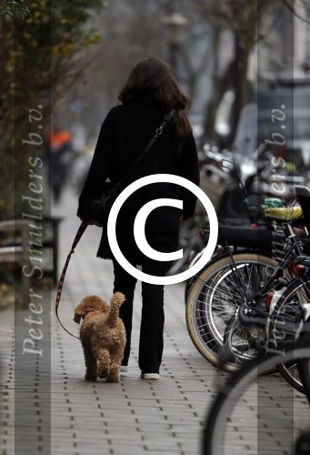 Amsterdam 9 december 2016
Robine v d Meer met hond op straat in Amsterdam zuid