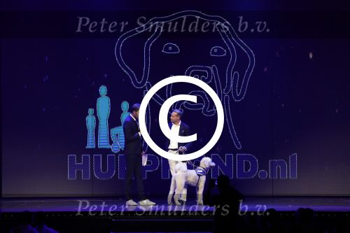 Hilversum 26 september 2016
Finale miss Nederland verkiezing in studio 21. Kim Kotter en Viktor Brand presenteren het. Rudolph Strickwold van hulphond