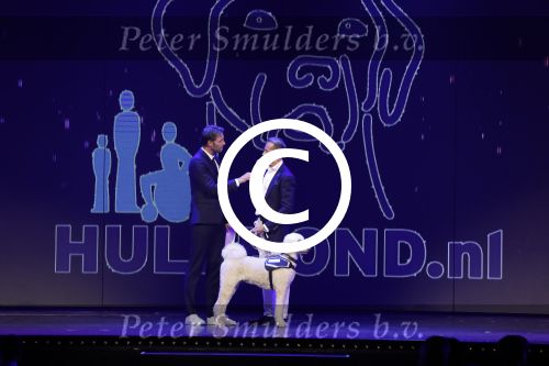 Hilversum 26 september 2016
Finale miss Nederland verkiezing in studio 21. Kim Kotter en Viktor Brand presenteren het. Rudolph Strickwold van hulphond