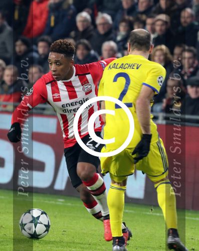 Eindhoven, 6 December 2016 Laatse groepswedstrijd in de Champions League Seizoen 2016/2017 PSV-FC Rostov, eindstand 0-0 en uitschakeling voor het gehele Europese Voetbal.
Steven Bergwijn