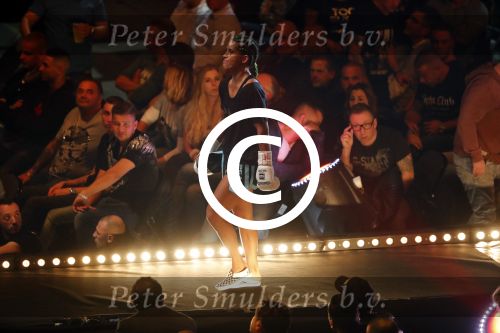 Oberhausen 10 december 2016
Rico Verhoeven wint zijn gevecht met Badr Hari tijdens de GLORY COLLISION in Oberhausen. Tiffany van Soest wint bij de dames