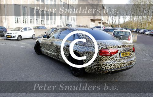Amnsterdam 24 november 2016
Tony Peroni  jr met zijn audi die gestickerd is met tijgerprint . Tony was bij Buddha to Buddha