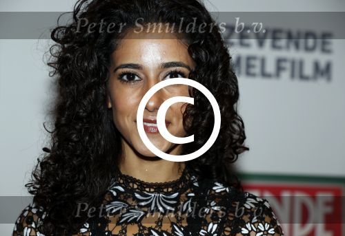 Amsterdam 14 november 2016
Premiere de zevende hemel in theater Carre. Toprak Yalciner met vriend