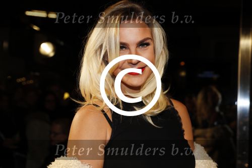 Amsterdam 29 november 2016
Afscheidsconcert Gordon in het concertgebouw.
Yildiz Siskens