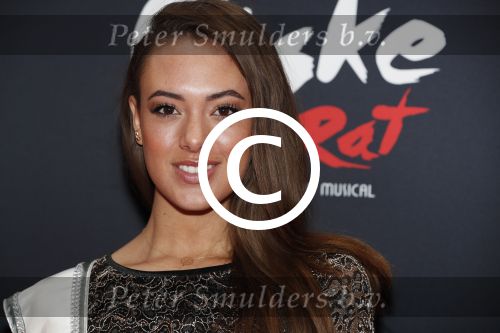 Amsterdam 20 november 2016
Premiere Ciske de Rat in het nieuwe de la mar theater.