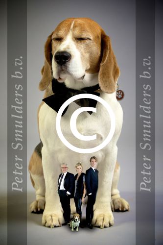 ZALTBOMMEL - Familie Smulders in fotostudio LDB Production. FOTO LEVIN DEN BOER - PERSFOTO.NU