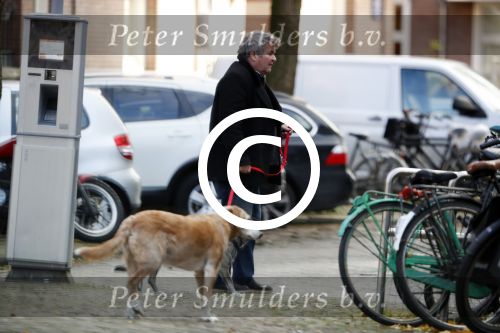 Amsterdam 24 november 2017
Michiel Romeijn met zijn vrouw
