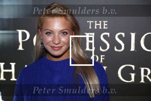 Amsterdam 26 november 2018
Premiere van the possession of Hannah Grace van regisseur Diederik v Rooijen in Pathe de munt. Amber Delil