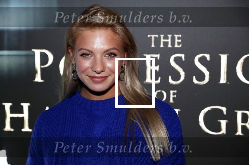Amsterdam 26 november 2018
Premiere van the possession of Hannah Grace van regisseur Diederik v Rooijen in Pathe de munt. Amber Delil