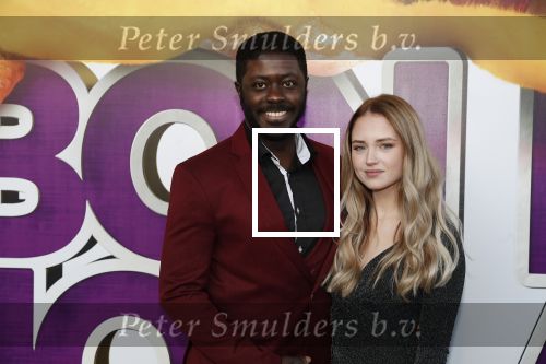 Rotterdam 9 december 2018
Premiere Bon Bini Holland 2 in pathe Rotterdam. Andre Dongelmans met een vriendin