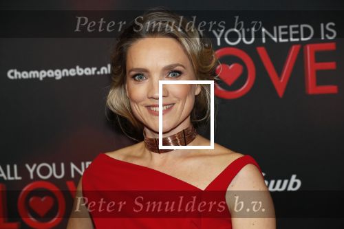 Amsterdam 26 november 2018
Premiere All you need is love in het delamar theater. Aniek Pheifer