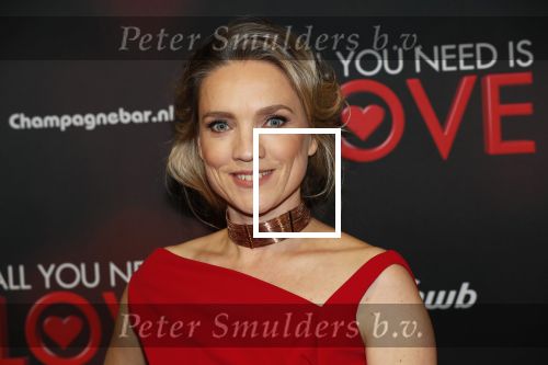 Amsterdam 26 november 2018
Premiere All you need is love in het delamar theater. Aniek Pheifer