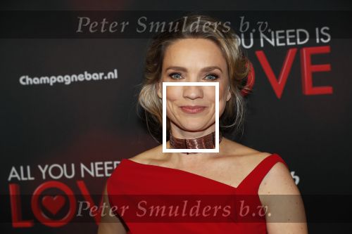 Amsterdam 26 november 2018
Premiere All you need is love in het delamar theater. Aniek Pheifer