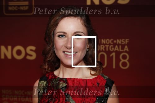 Amsterdam 19 december 2018
Sportman van het jaar verkiezing in afas live. annemiek van vleuten